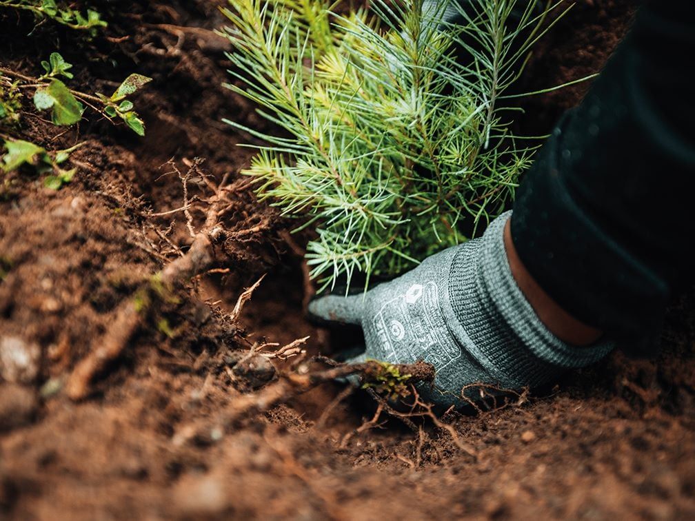 Handschuhhersteller Seiz startet Forschungsprojekt zur Kreislaufwirtschaft