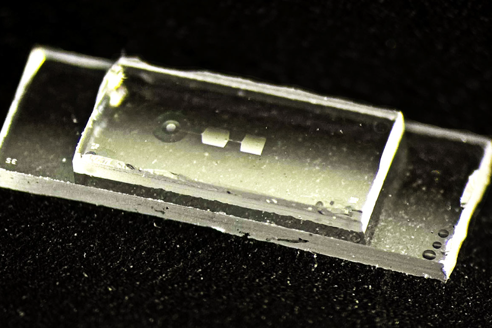 Quantencomputer: Neuer Quantenchip speichert Informationen mit Schwingungen Der neue Quantenchip der ETH-Physikerin Yiwen Chu enthält sogenannte mechanische Resonatoren – winzige Bauteile, die beim Speichern von Informationen zu schwingen beginnen. Der Chip ist rund 7,5 Millimeter lang, 2,5 Millimeter breit und 1 Millimeter hoch und etwa so breit wie ein kleiner Fingernagel.