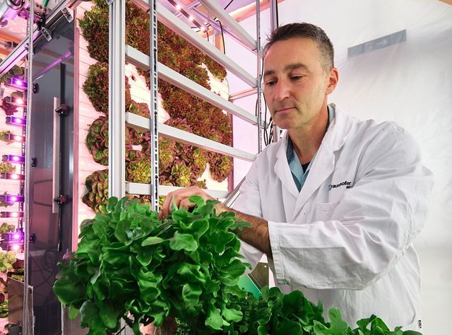 Vertical Farming-System OrbiPlant Das hoch flexible Vertical Farming-System OrbiPlant® kann Pflanzen unterschiedlicher Art kontinuierlich sowie völlig unabhängig von Wetter, Tages- und Jahreszeit bereitstellen.