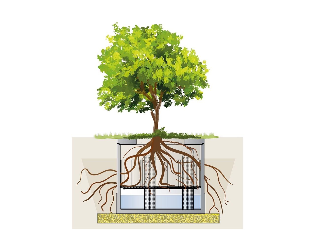 Platz 2: Baumrigole ViaTree Platz 2: Baumrigole ViaTree