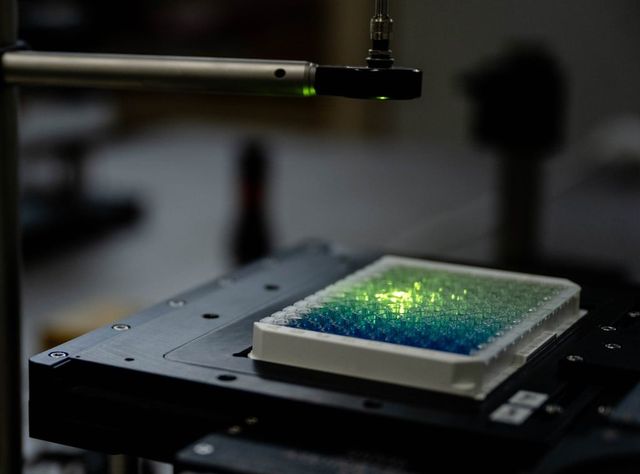 Bioanalytik: Nanosensoren für mehr Sensitivität Versuchsaufbau mit Wellplatte