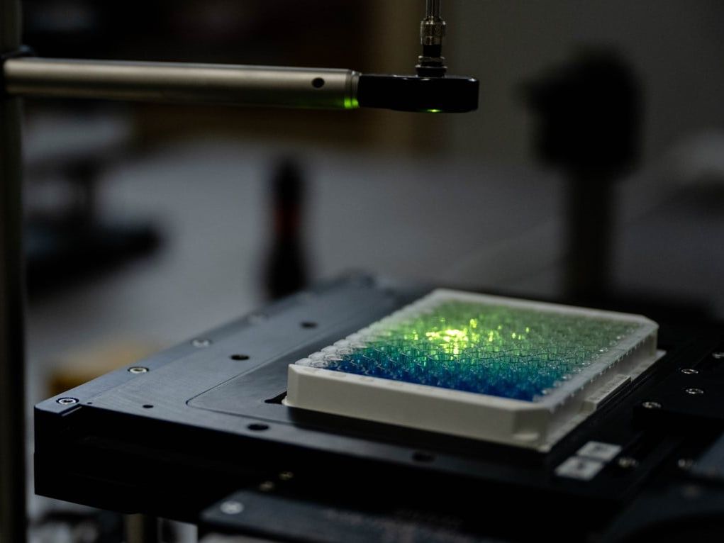 Bioanalytik: Nanosensoren für mehr Sensitivität Versuchsaufbau mit Wellplatte
