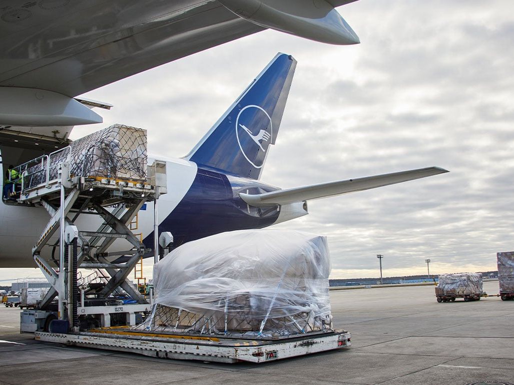 Luftfracht: Lufthansa Cargo: Ungewöhnliche Transporte in 2024 Luftfracht: Lufthansa Cargo: Ungewöhnliche Transporte in 2024