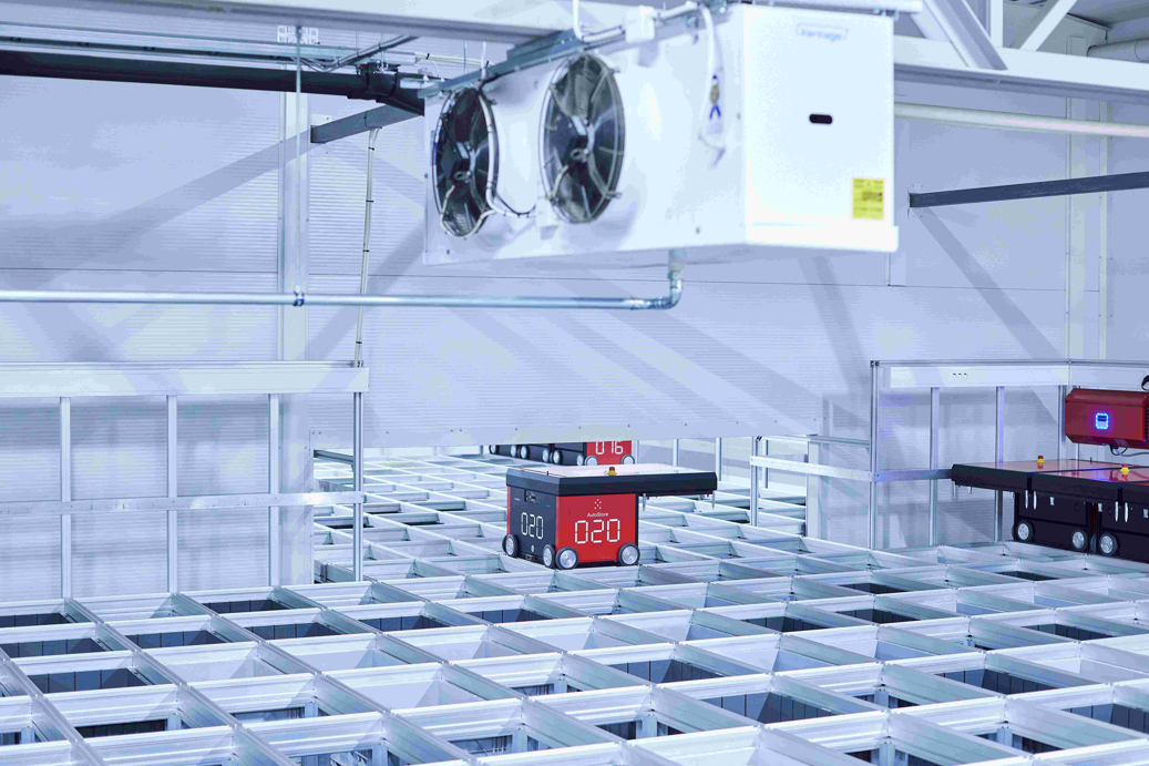 Nominated as product of the year 2025: Autostore: Multi-Temperature Solution