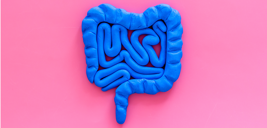 Probiotika, Darmmikrobiom und Gesundheit: Neue Erkenntnisse zu mikrobiellen Netzwerken Blauer gekneteter Darm auf pinkem Hintergrund als Symbolbild für Artikel Probiotika, Darmmikrobiom und Gesundheit: Neue Erkenntnisse zu mikrobiellen Netzwerken