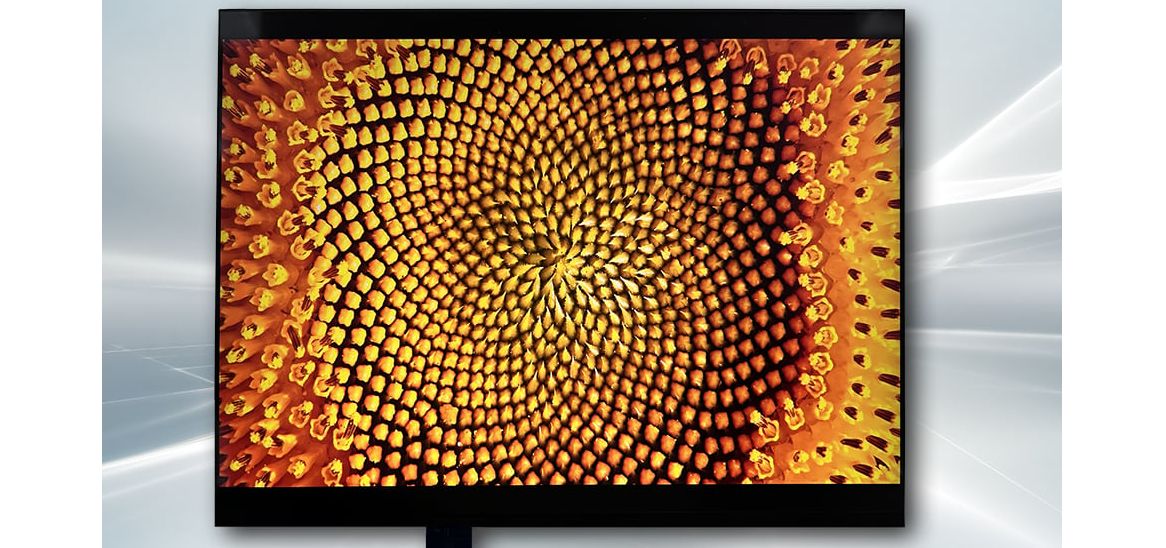Hy-Line: Neue Display-Technologien Hy-Line: Neue Display-Technologien