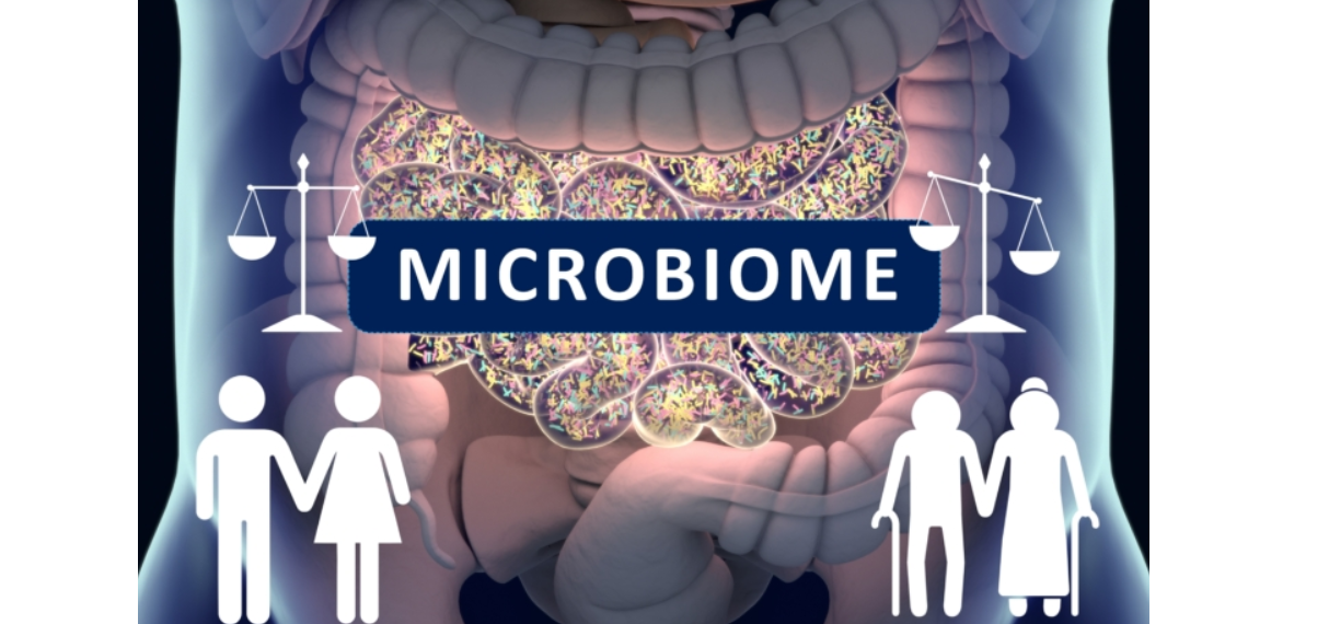 Mikrobiom und Altern: Wenn das Immunsystem die Kontrolle verliert Mikrobiom und Altern: Wenn das Immunsystem die Kontrolle verliert erstellt mit Biorender