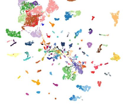 Tumordiagnostik KI-Modell erkennt mehr als 170 Krebsarten KI-Modell „crossNN“: Das Modell gleicht epigenetische Daten unbekannter Tumoren mit den Fingerabdrücken von mehr als 8000 Referenztumoren ab.