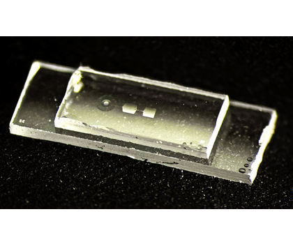 The new quantum chip developed by ETH physicist Yiwen Chu contains so-called mechanical resonators—tiny components that begin to oscillate when storing information. The chip is about 7.5 millimeters long, 2.5 millimeters wide, and 1 millimeter high—roughly as wide as a small fingernail.