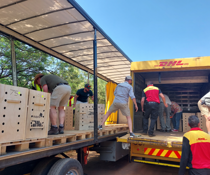CEP service provider: The most unusual DHL shipments in 2024 CEP service provider: The most unusual DHL shipments in 2024