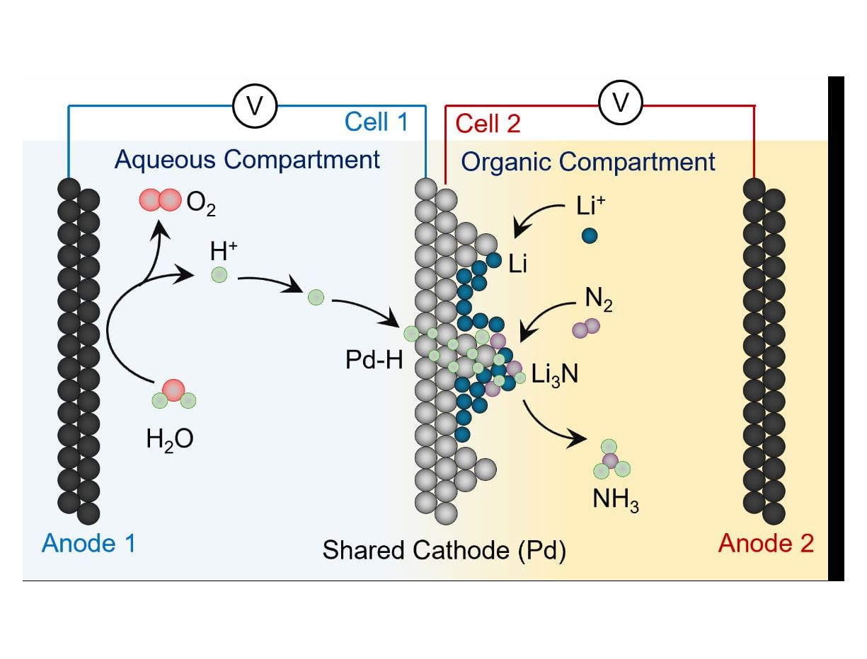Ammoniak-Synthese: Forschungsteam entwickelt klimafreundliche Herstellungsverfahren Reaktorschema, bei dem Wasser direkt als Wasserstoffquelle genutzt wird, um mit Hilfe von elektrischem Strom Ammoniak zu erzeugen.