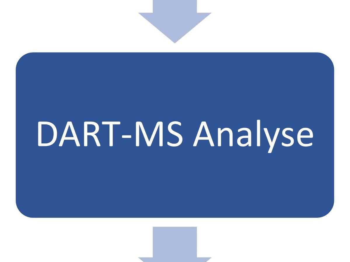 Arbeitsablauf einer Metabolomanalyse mittels DART-MS. Arbeitsablauf einer Metabolomanalyse mittels DART-MS.