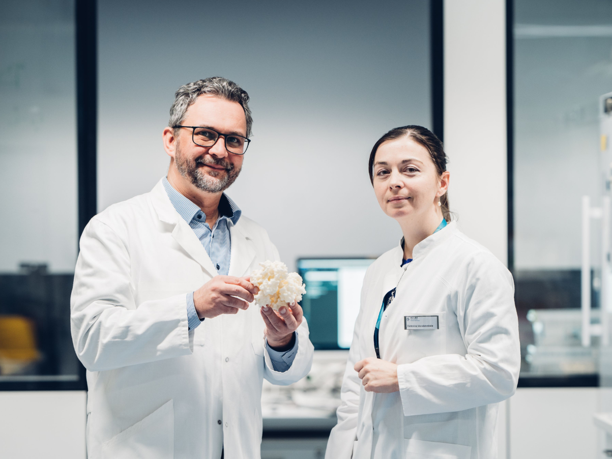 Prof. Michael Schlierf und Dr. Ekaterina Vorobevskaia Prof. Michael Schlierf und Dr. Ekaterina Vorobevskaia halten ein 3D-Modell des Protein-DNA-Komplexes.