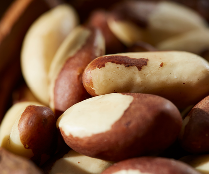 Wie gesund sind Pranüsse eigentlich wirlich? Paranüsse