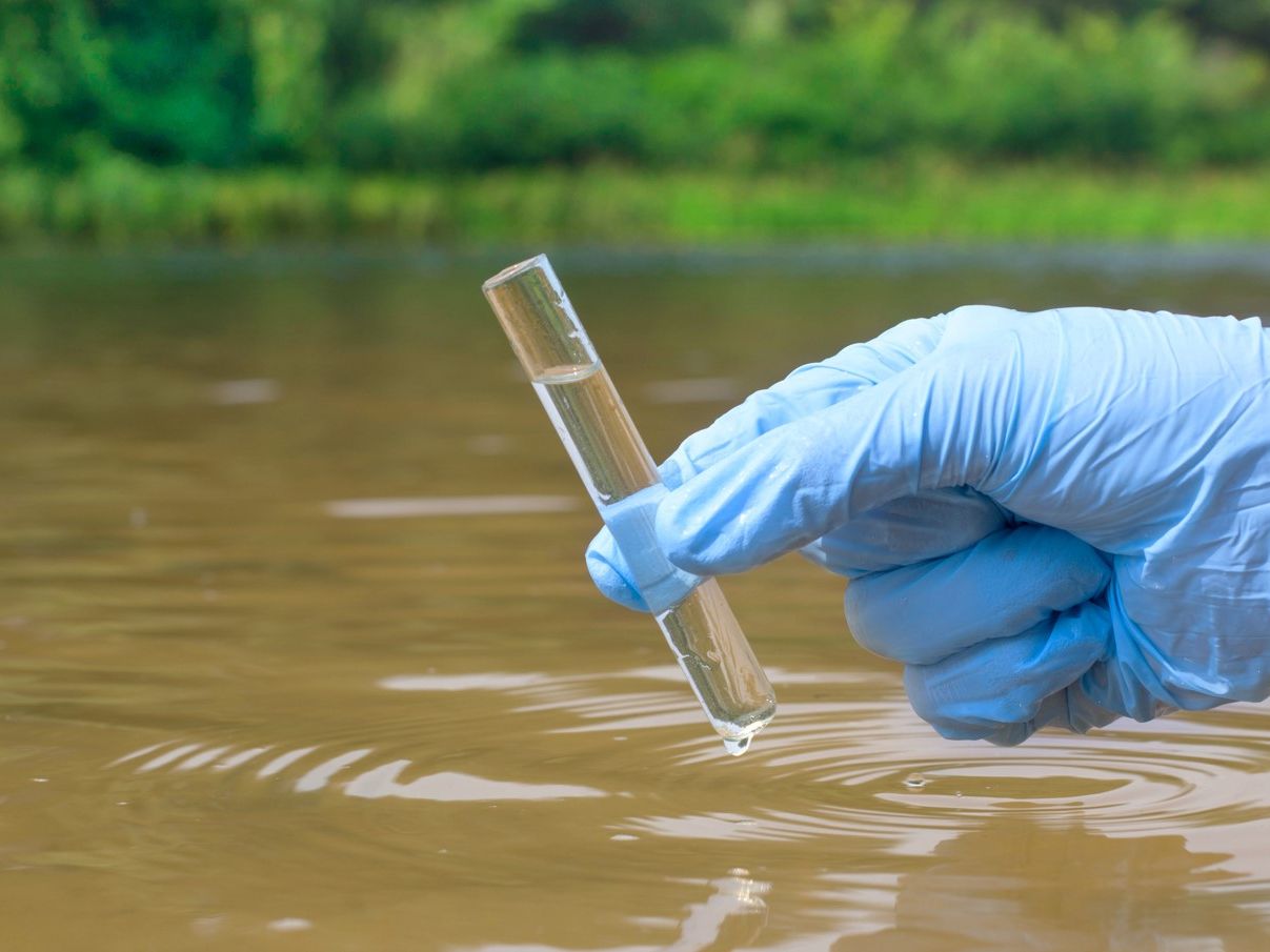 Wasserprobenahme aus einem Fluss (behandschuhte Hand mit Wasserprobe im Glasbehälter)