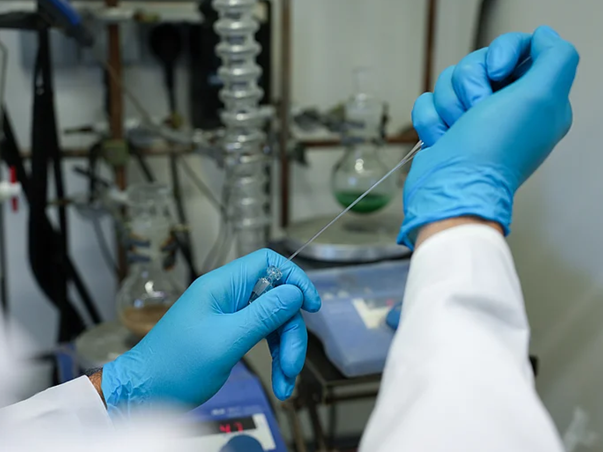 HAnd eines Labormitarbeitenden mit Laborhandschuh. Bild zum Artikel HIPS-Forscher:innen identifizieren einen neuen Angriffspunkt für Antibiotika