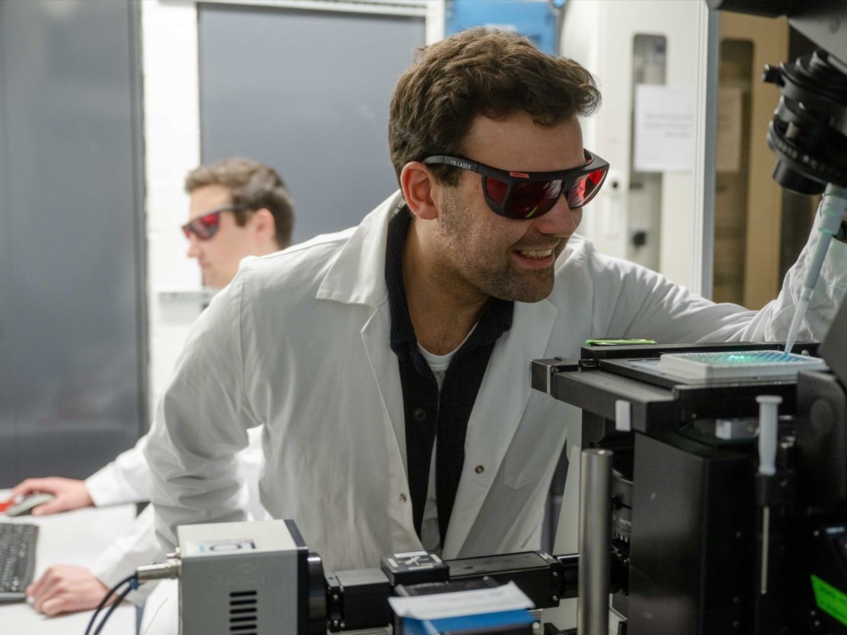 Bioanalytik: Nanosensoren für mehr Sensitivität Bioanalytik: Nanosensoren für mehr Sensitivität