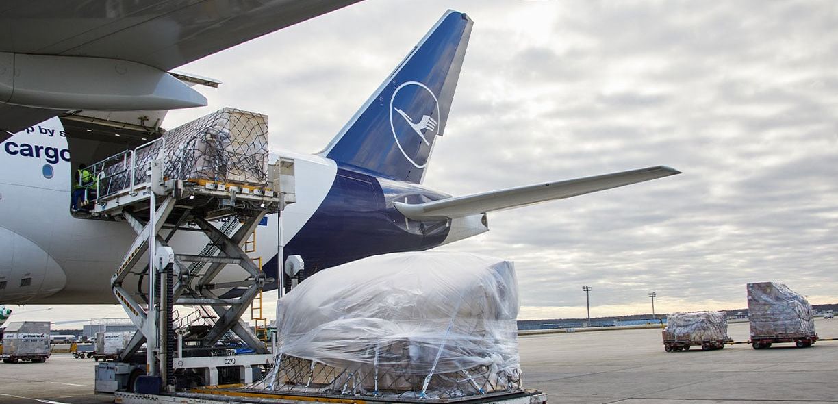 Air freight: Lufthansa Cargo: Unusual transports in 2024 Air freight: Lufthansa Cargo: Unusual transports in 2024
