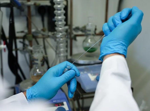 Bakterien aushungern: Neuer Wirkstoffansatz gegen resistente Infektionen HAnd eines Labormitarbeitenden mit Laborhandschuh. Bild zum Artikel HIPS-Forscher:innen identifizieren einen neuen Angriffspunkt für Antibiotika