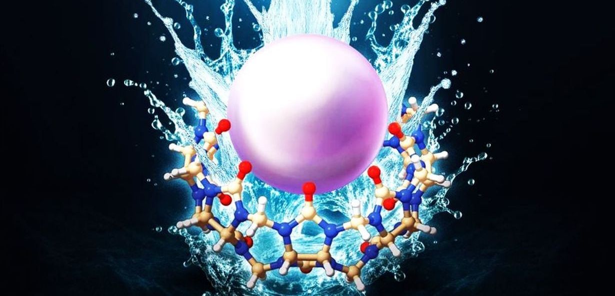 Wassermoleküle sind eine treibende Kraft bei der Bildung molekularer Bindungen, beispielsweise in Proteinen.