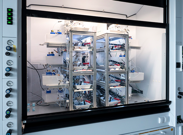 Dank dem Parallelreaktor für die CO₂-Elektrolyse im Empa-Labor «Materials for Energy Conversion» können die Forschenden die Leistung des Katalysators untersuchen.