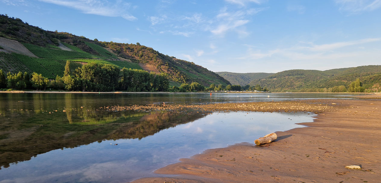 Der Rhein bei Niedrigwasser im oberen Mittelrheintal bei Boppard.