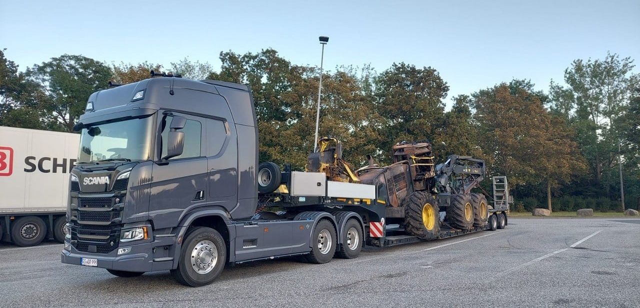 Ein Panther für Deutschlands Wälder