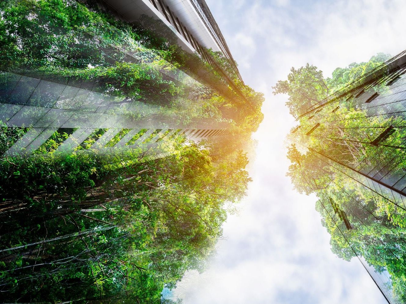 Dassault Systèmes Receives SBTi Endorsement for Its Net-Zero Target