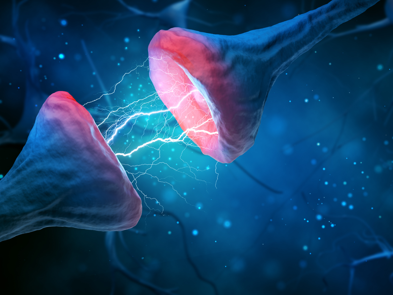 Organische Ursachen bei Schizophrenie: Studie zeigt erstmals Mangel an Synapsen bei psychischer Erkrankung Symbolbild Schizophrenie: Studie zeigt erstmals Mangel an Synapsen bei psychischer Erkrankung