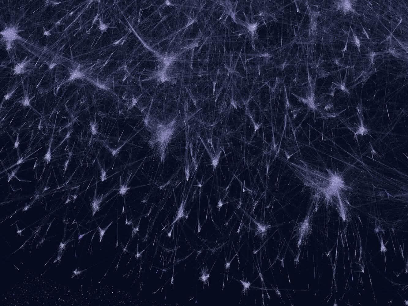 Bioinformatik: Künstliche Intelligenz für die Proteinforschung Interaktives Netzwerk dargestellt