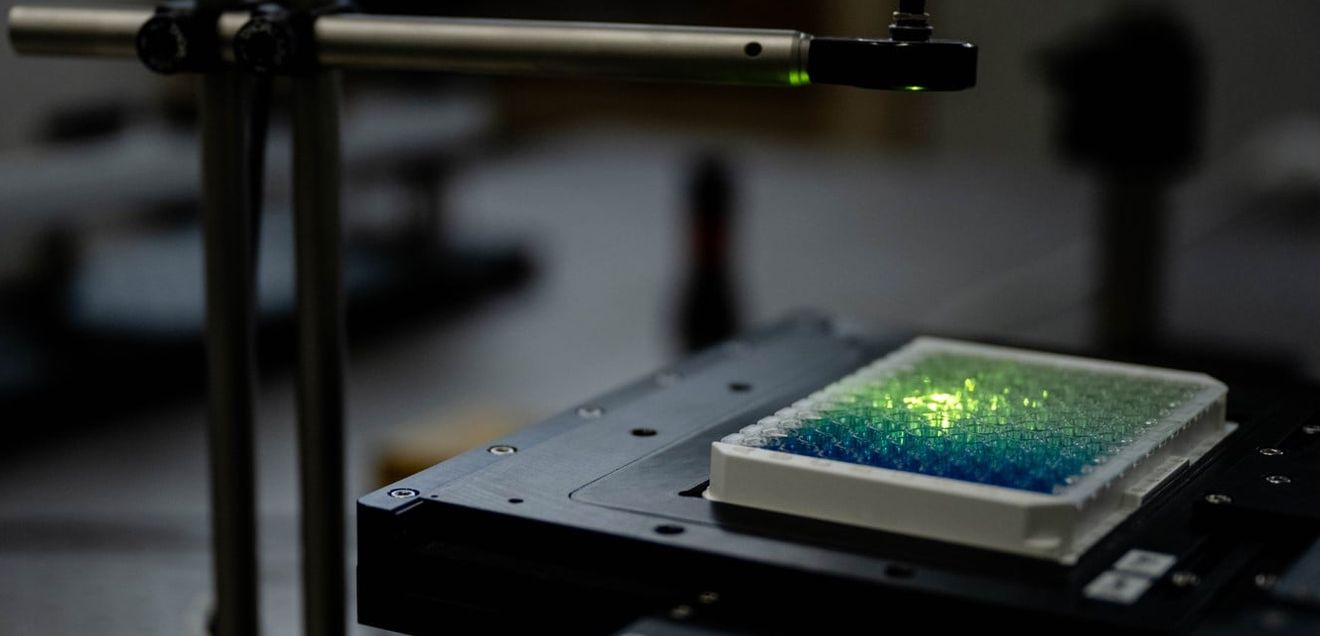Bioanalytik: Nanosensoren für mehr Sensitivität Versuchsaufbau mit Wellplatte
