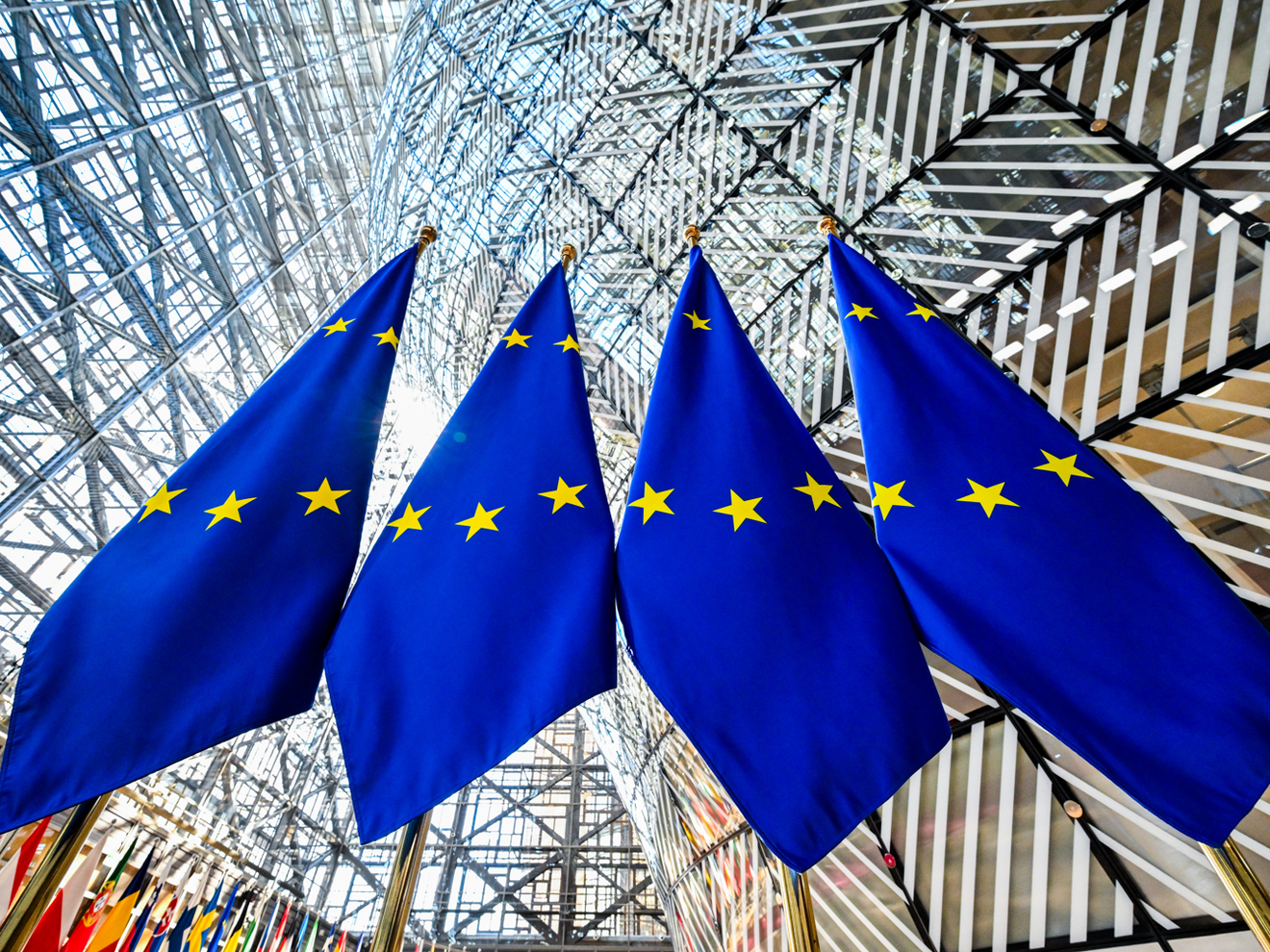 Neue Unternehmensform für Start-ups in Europa: Die EU Inc. kommt EU Flaggen als Symbolbild: Neue Unternehmensform für Start-ups in Europa: Die EU Inc. kommt