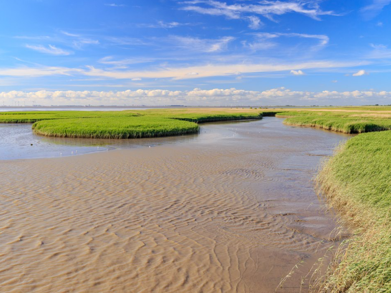 Blue Carbon: Schutz mariner Kohlenstoffspeicher für Klima und Biodiversität Blick über den Dollart nach Emden - Nationalpark Niedersächsisches Wattenmeer
