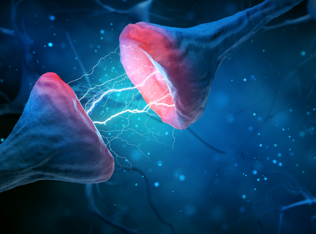 Organische Ursachen bei Schizophrenie: Studie zeigt erstmals Mangel an Synapsen bei psychischer Erkrankung Symbolbild Schizophrenie: Studie zeigt erstmals Mangel an Synapsen bei psychischer Erkrankung