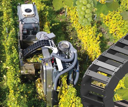Igus: Roboter übernimmt die Weinlese Igus: Roboter übernimmt die Weinlese