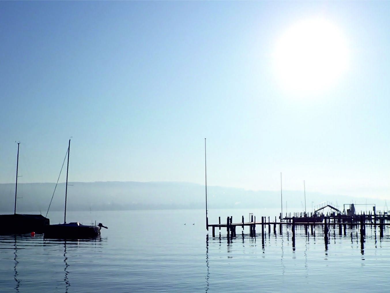 Blick auf den Zürichsee von der Limnologischen Station in Kilchberg bei Zürich Foto: Blick auf den Zürichsee von der Limnologischen Station in Kilchberg bei Zürich