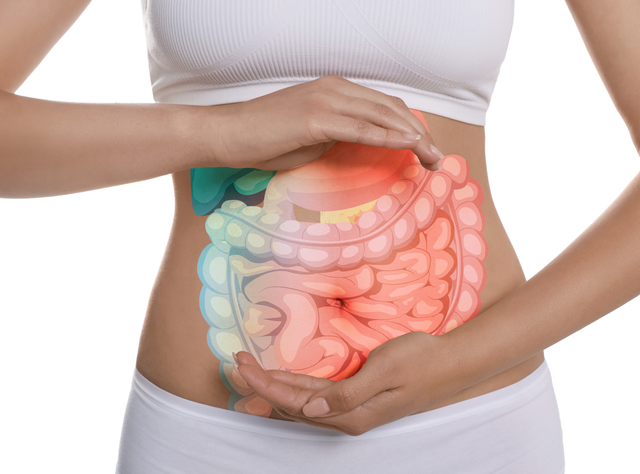 Diabetes und Darmkrebs: DKFZ-Studie zeigt Einfluss des Immunsystems auf Prognose Bauch mit Darstellung des Darms