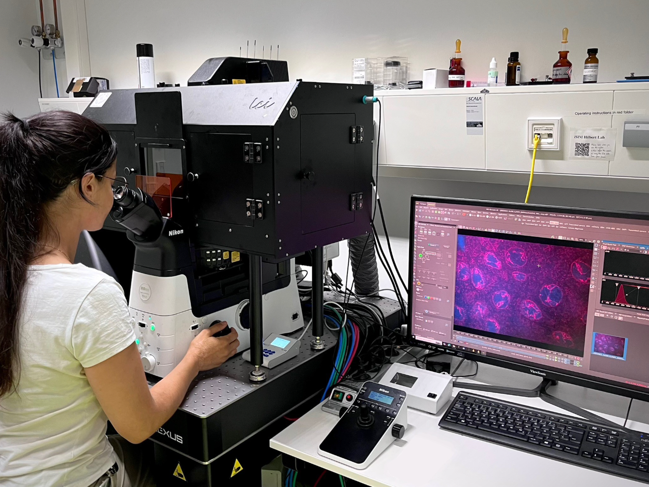 Der Zellkern als Vorbild für DNA-basierte Computerchips Um das Verhalten der DNA nachvollziehbar und vorhersagbar zu machen, kombinieren die Forschenden Laborexperimente mit Computersimulationen.