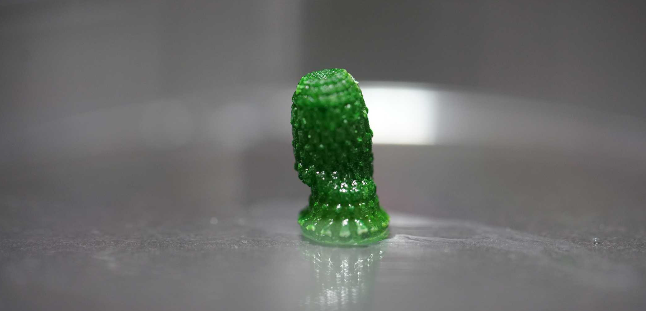 Lebendes Material speichert CO₂ dauerhaft – ETH Zürich entwickelt neuartigen Werkstoff 3D-gedruckte «Ananas», in deren Innern Blaualgen wachsen, nach einer Entwicklungszeit von 60 Tagen.