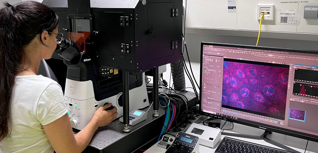 Der Zellkern als Vorbild für DNA-basierte Computerchips Um das Verhalten der DNA nachvollziehbar und vorhersagbar zu machen, kombinieren die Forschenden Laborexperimente mit Computersimulationen.