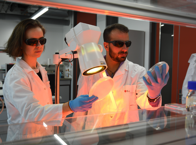 Kampf gegen Antibiotikaresistenzen mit keimtötendem Licht Die Empa-Forschenden Paula Bürgisser und Giacomo Reina vom «Nanomaterials in Health» Labor in St. Gallen.