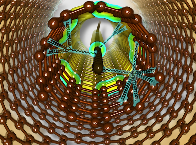 Exotische Schwingungen in neuen Materialien Carbyne als vielversprechender nanoskaliger Sensor Schematische Darstellung von Carbyne, das in doppelwandigen Kohlenstoffnanoröhren mit kleinem Durchmesser stabilisiert ist
