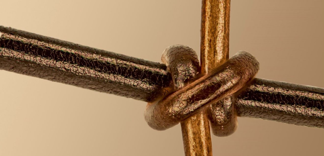 Menschliches Haar (vertikal) mit Pferdehaar (horizontal) verknotet. Menschliches Haar (vertikal) mit Pferdehaar (horizontal) verknotet.