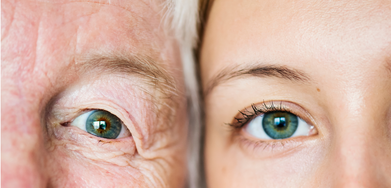 Biologisches Alter bestimmen: Bioage-Score in der Altersforschung
