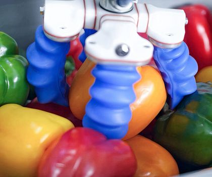 Lebensmittel-Handling: Schmalz übernimmt Fingergreifer von Soft Robotics Lebensmittel-Handling: Schmalz übernimmt Fingergreifer von Soft Robotics