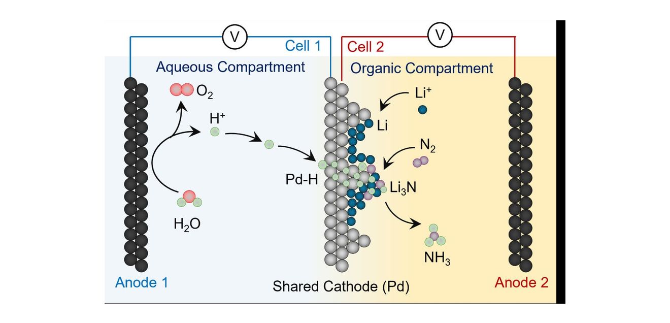 Ammoniak-Synthese: Forschungsteam entwickelt klimafreundliche Herstellungsverfahren Reaktorschema, bei dem Wasser direkt als Wasserstoffquelle genutzt wird, um mit Hilfe von elektrischem Strom Ammoniak zu erzeugen.