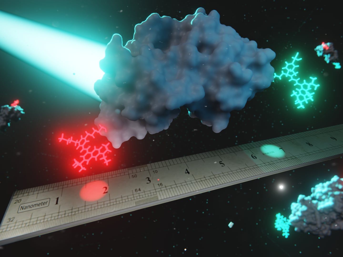Studie zur FRET-Methode: Nanometermaß für Biomoleküle Kunstbild zum Verfahren