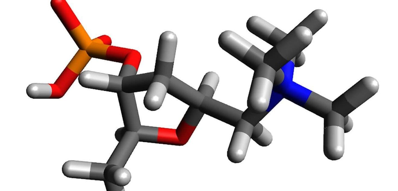 chemische Struktur von Muscarin chemische Struktur von Muscarin