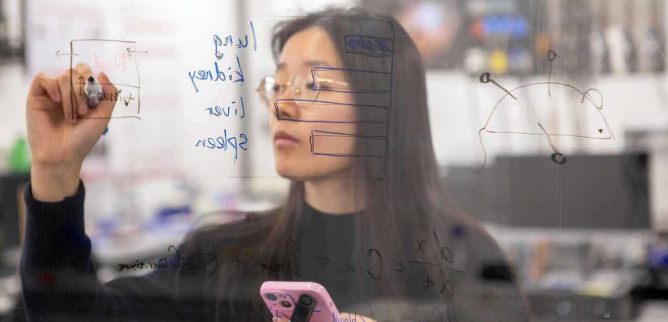Die Empa-Forscherin Jimeng Wu hat mit einer virtuellen Maus eine Alternative zu Tierversuchen geschaffen: die KI-unterstützte Maus kann berechnen, welche Nanopartikel in die Lunge, die Nieren, die Leber und die Milz einer Maus gelangen und wo sie sich ansammeln.