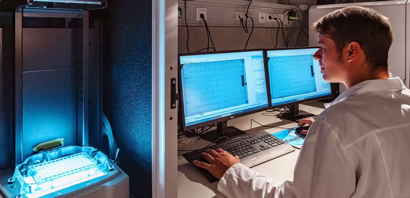 Dr. David Leuthold arbeitet daran, mithilfe des Zebrafischmodells zu testen, ob Umweltchemikalien neurotoxisch wirken. Dr. David Leuthold